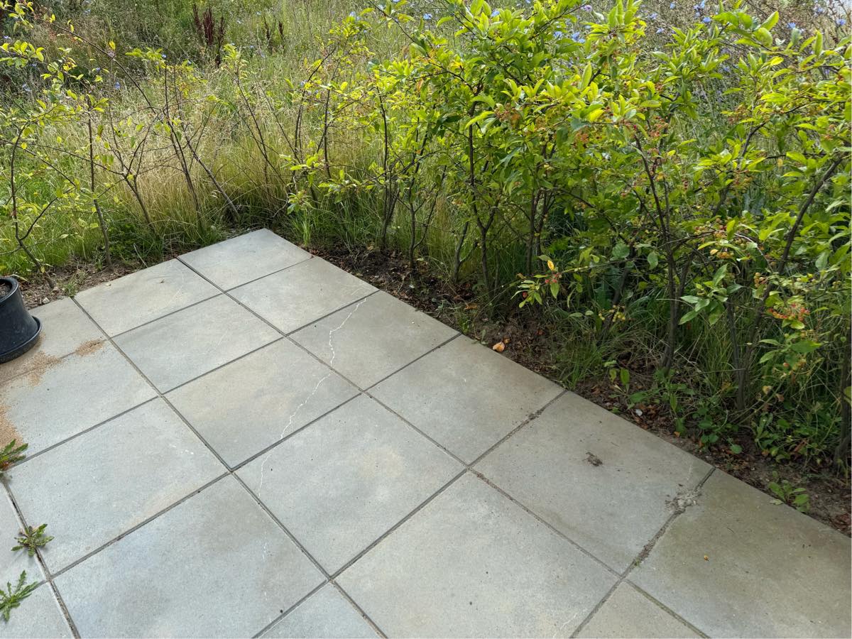 Fjernelse af ukrudt på terrasse