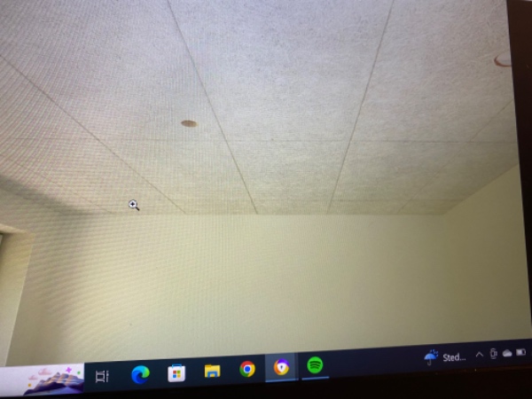 Troldtekt i stueloft