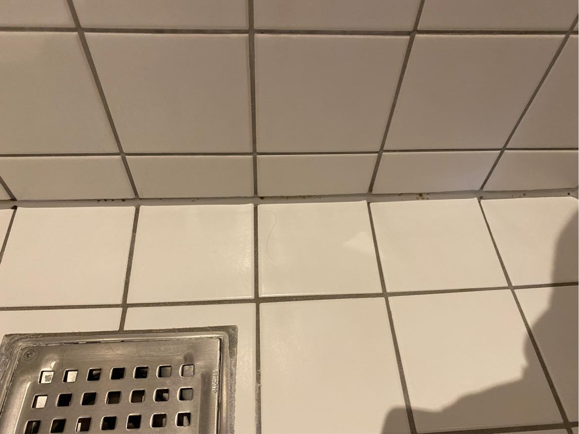 Skift af fuger i badeværelse