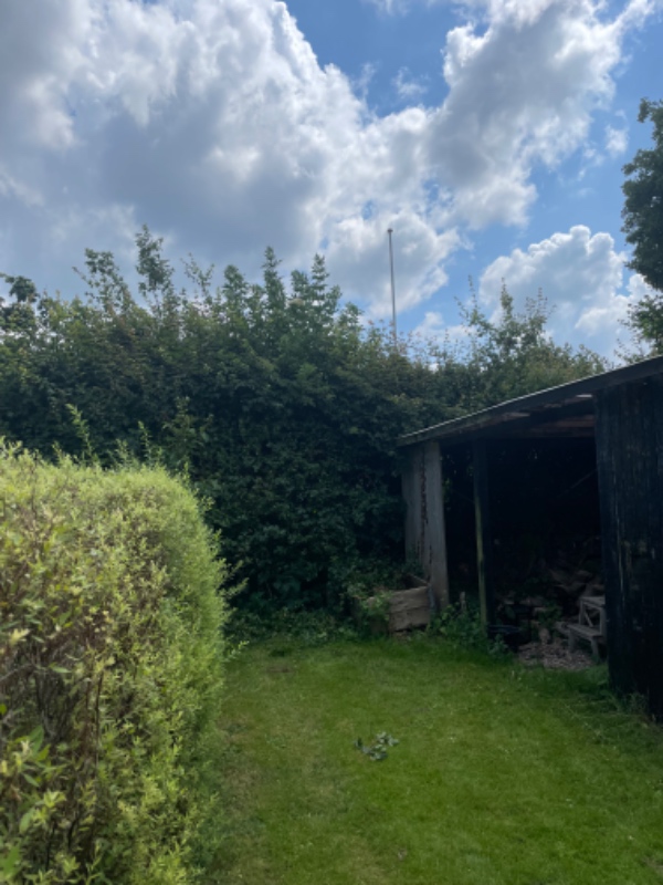 Hæk og busk klipning