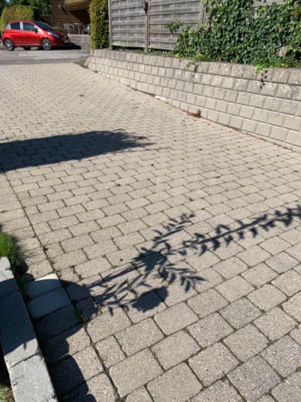 Luge ukrudt og vedligeholde