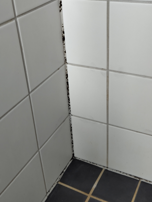 ny silikonefuge ved bad og kogeplade