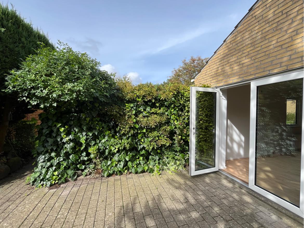 Vinterklargøring af have