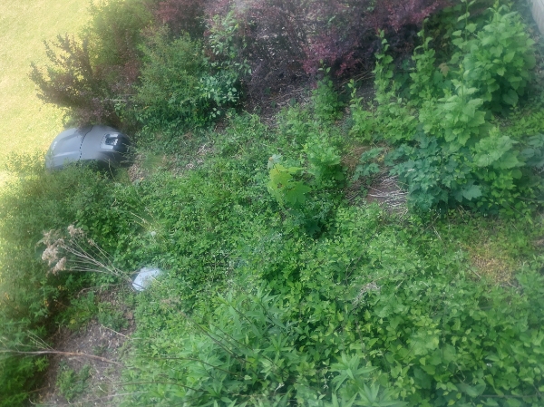 Ordne baghave med klipning, fjerne ukrudt, sætte hegn op og sætte beton på have.