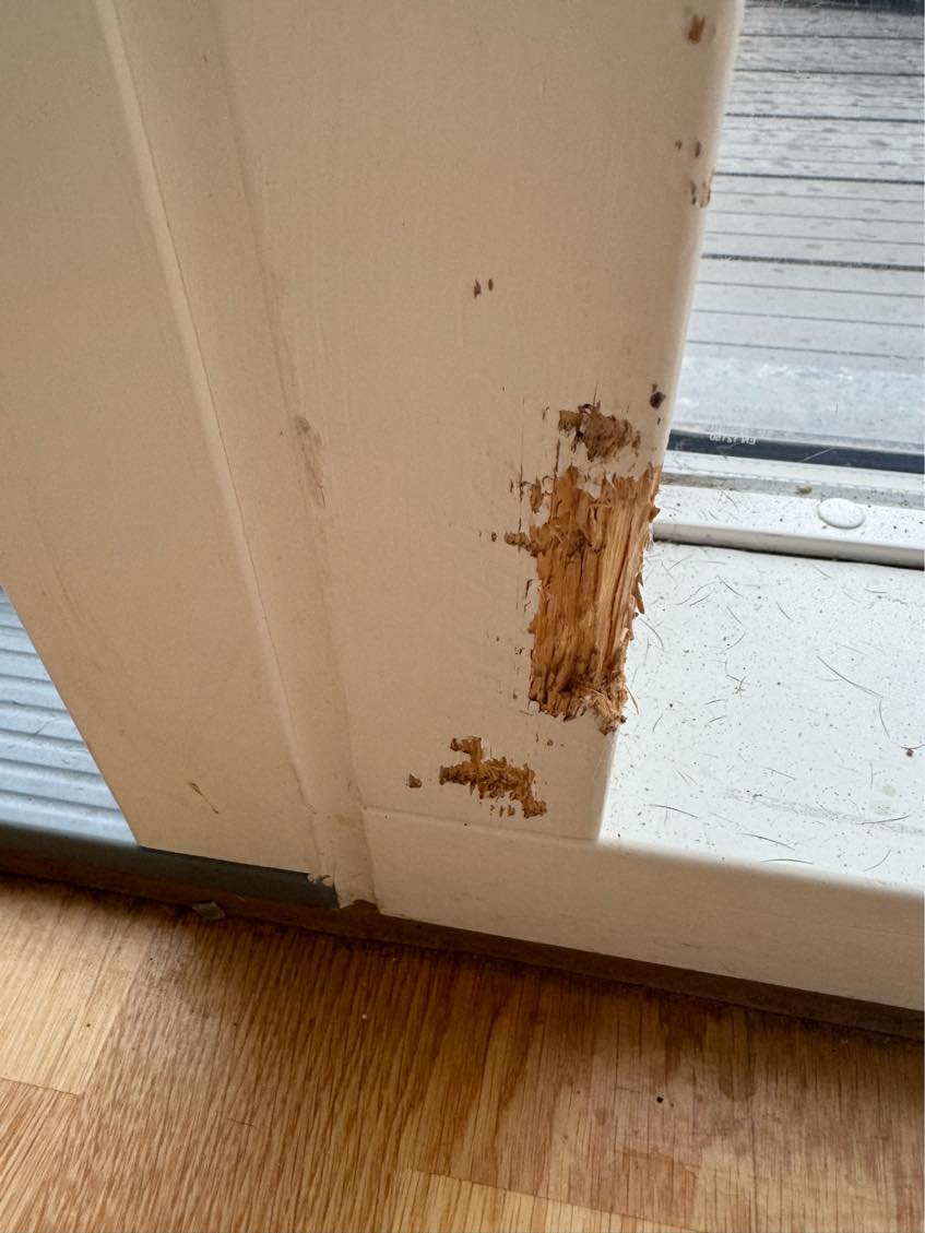 Hul i træppe og panel