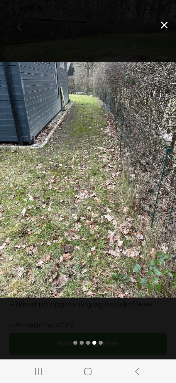 Genetablering af græsplæne