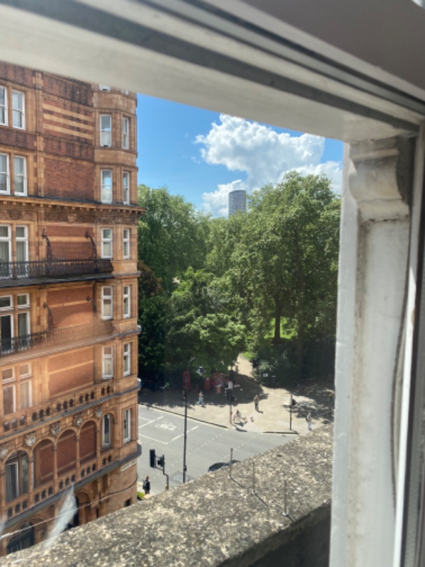 Montering af chipkattelem