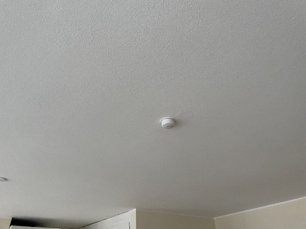 hængt en lampe op over mit spisebordd