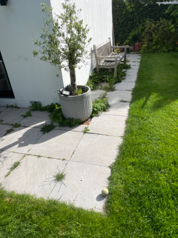 Fjernelse af ukrudt på terrasse