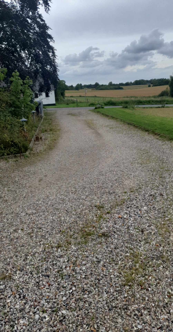 Klippet hæk og buske. Fjerne ukrudt i indkørelsen