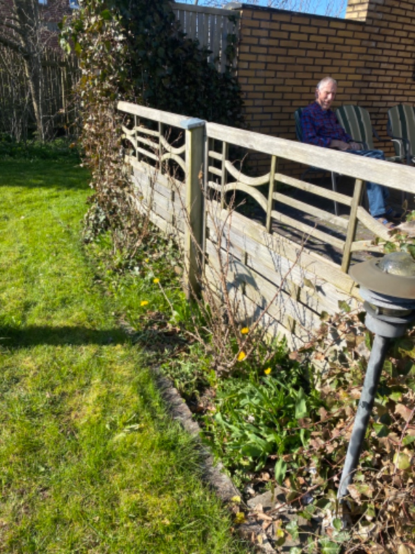 Haven skal trimmes. Buske og gamle planter skal fjernes.