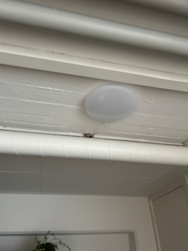 Opsætning af lamper