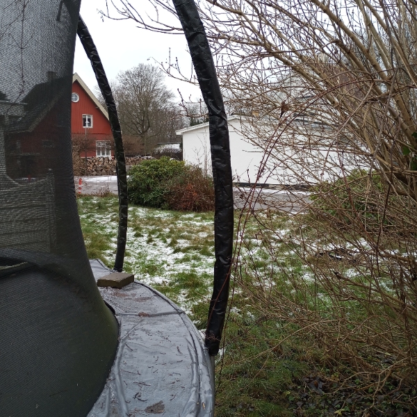 Klippe buske
