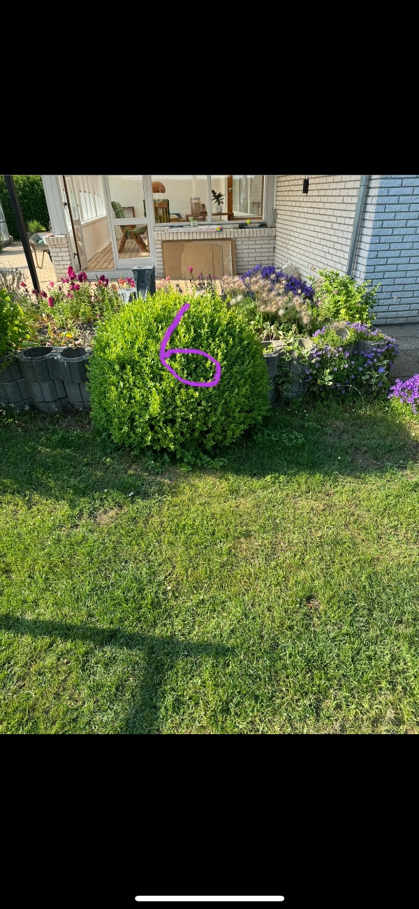 Udgravning til trampolin og træer