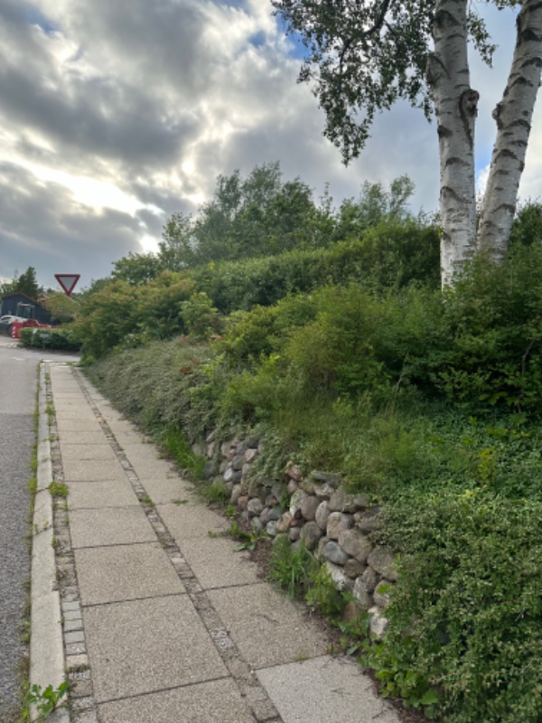 Hækklipning og fjernelse af haveaffald