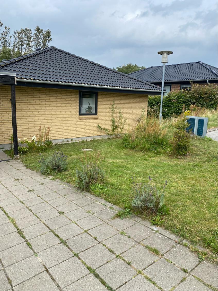 Fjerne ukrudt i haven