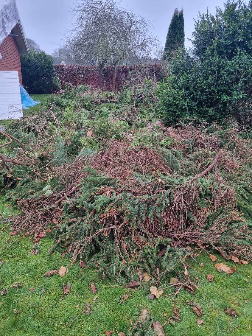 Jeg søger 1-2 som vil fjerne alt affald omkring mit hus som vi har renoveret