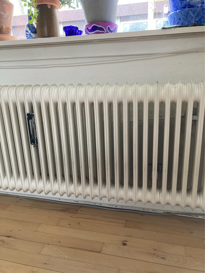 Jeg skal hvalpesikre mit hjem. Det er særligt elledninger der skal i kabelrør.