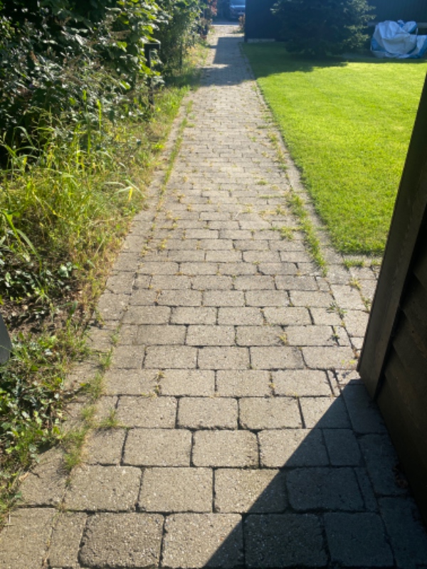 Fjerne ukrudt mellem fliser