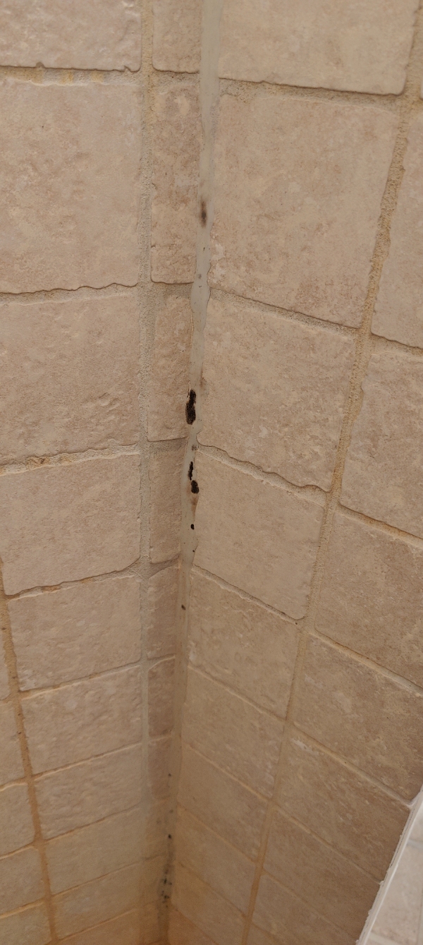 Hej,   Udføre I udskiftning af fuge i en bruseniche?