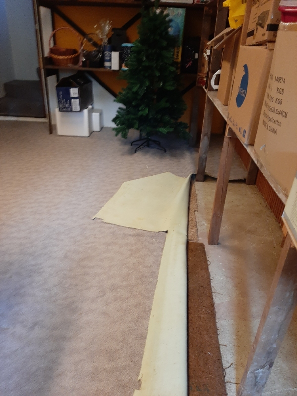 28 kvm kælderrum med gulvtæpper skal skære af og bæres op af kælderen pga. vand i kælderen.