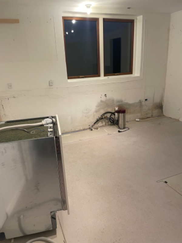 Nyt køkken monteres, og inden pudses vægge + lofter & males, nyt gulv (epoxy eller andet) m.m.