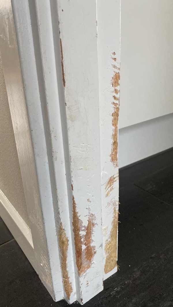 Udskiftning/rep af dørkarm/gulvpanel