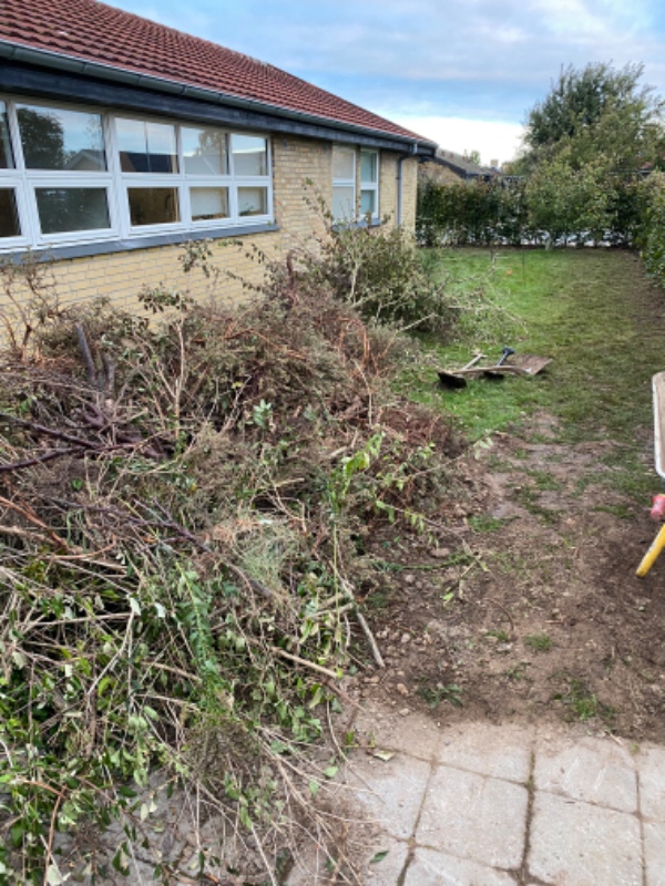 Afhentning af haveaffald i form af buske og grene