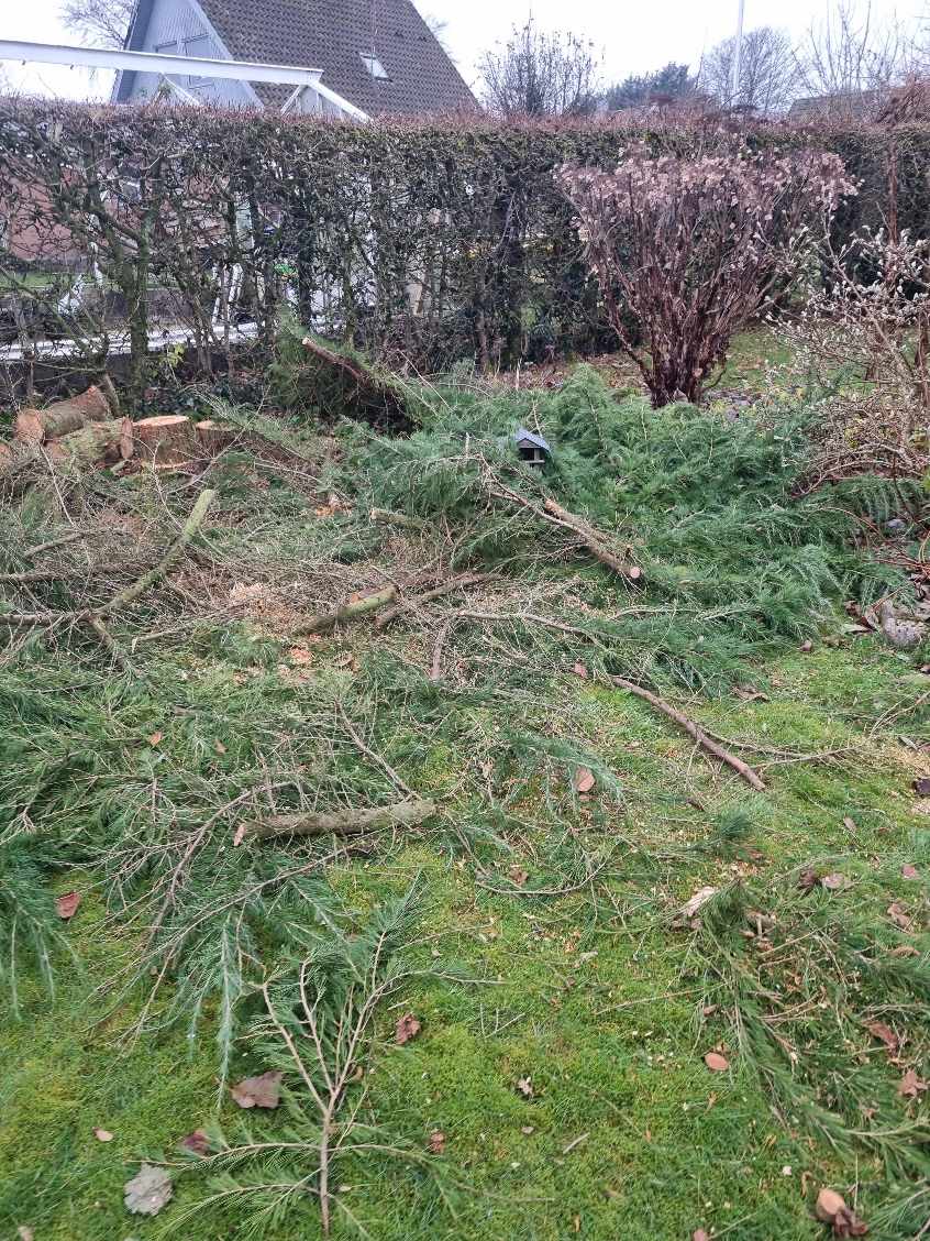 Jeg søger 1-2 som vil fjerne alt affald omkring mit hus som vi har renoveret
