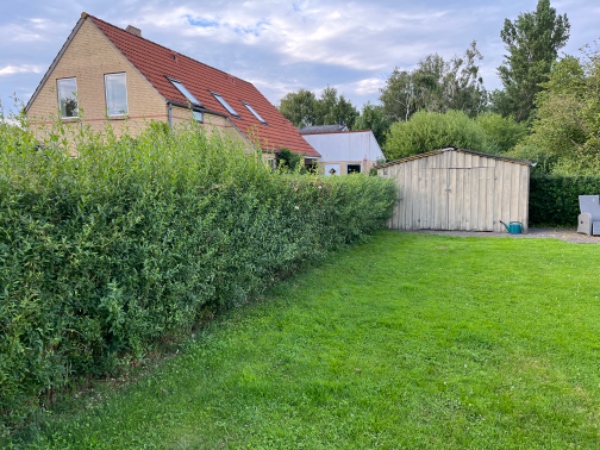 Hækklipning rundt hus