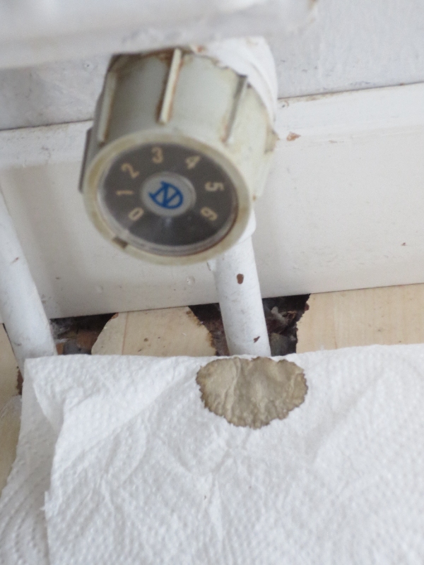 En radiator drypper v/termostat