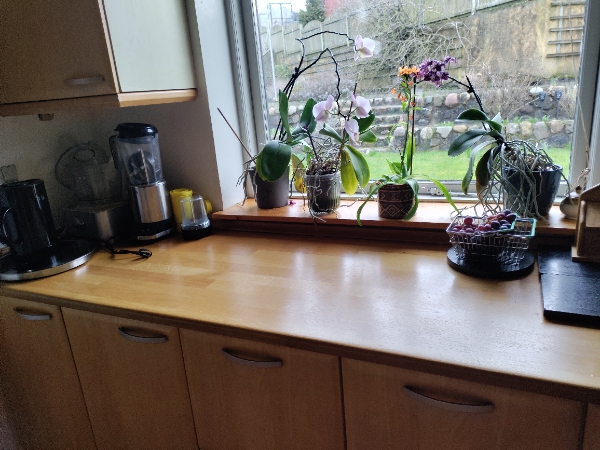 Slibning og oliebehandling af bord