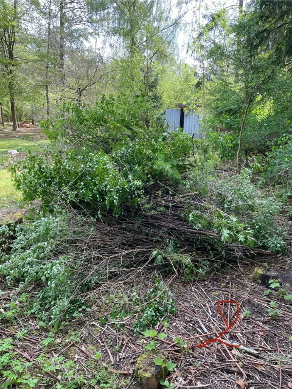 Haveaffald kørsel til genbrugsstation