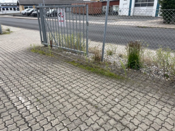 Ukrudt langs udvendigt hegn