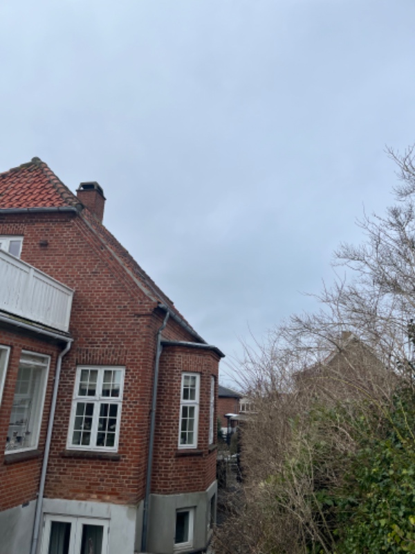 3 tagrender af ca 8 m