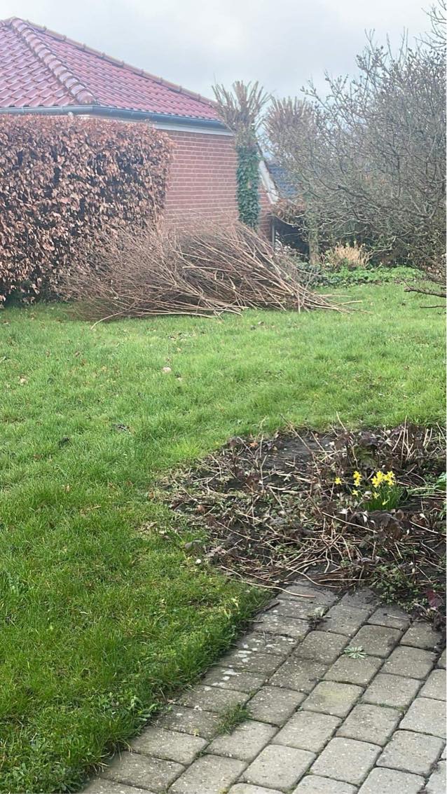 Køre grene på genbrugsplads