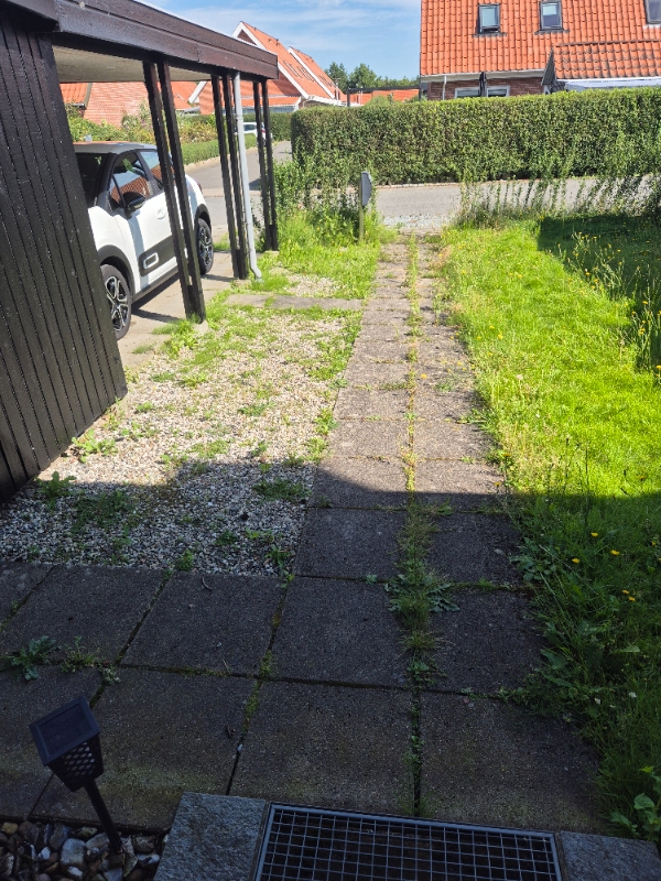 Hækkeklipning og fjernelse af ukrudt