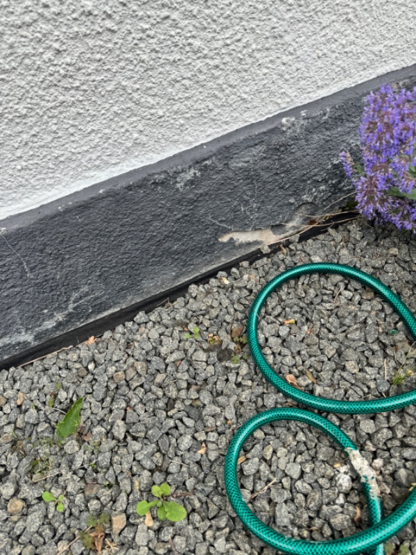 Murværk og sokkel reparation