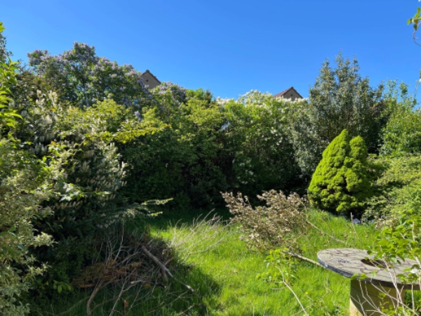 Beskæring af store buske