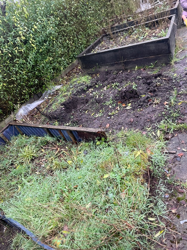 Skære 3 træer ned til hækkens højde, fjerne jord i plantekasserne og køre det væk