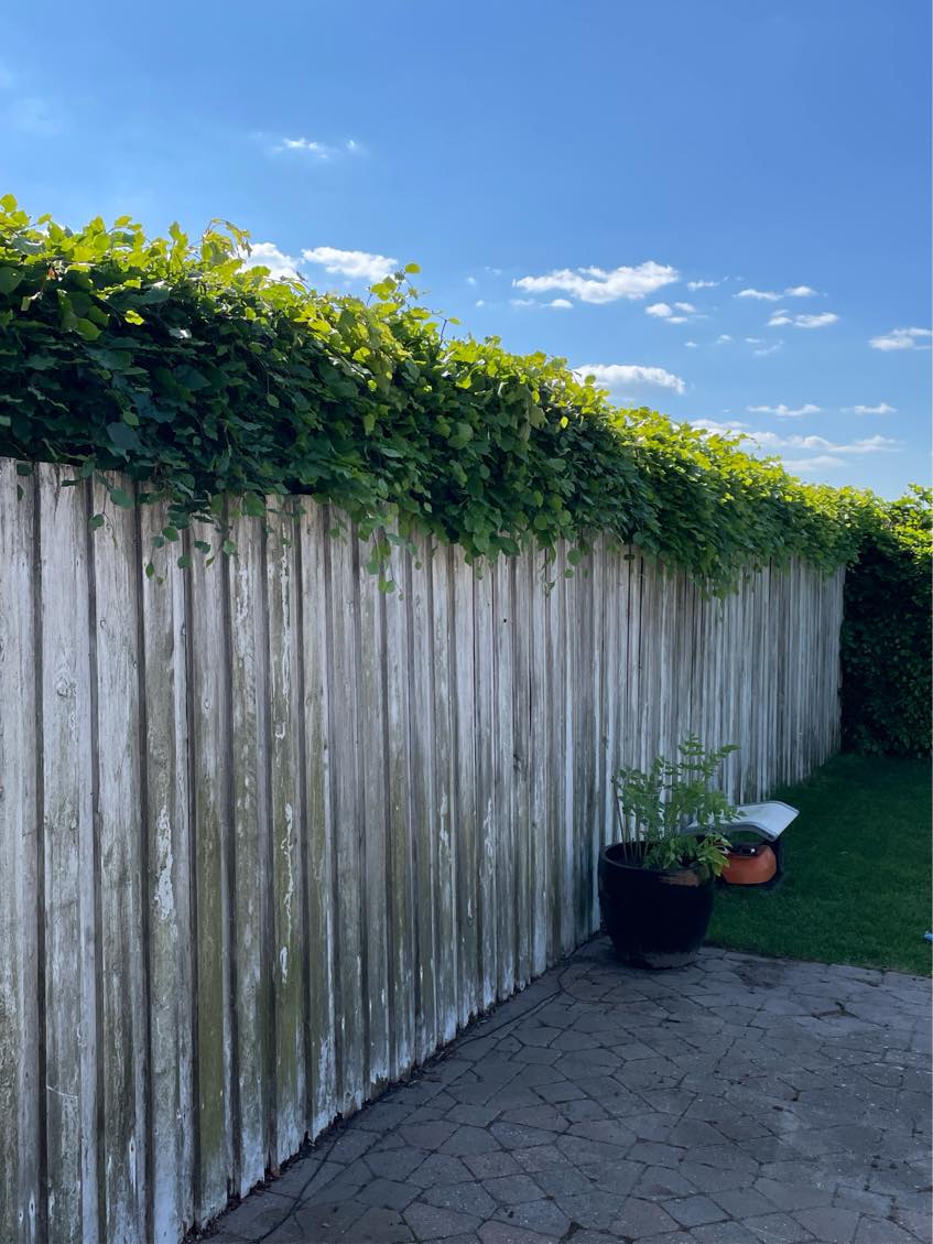 Maling af udendørs plankeværk