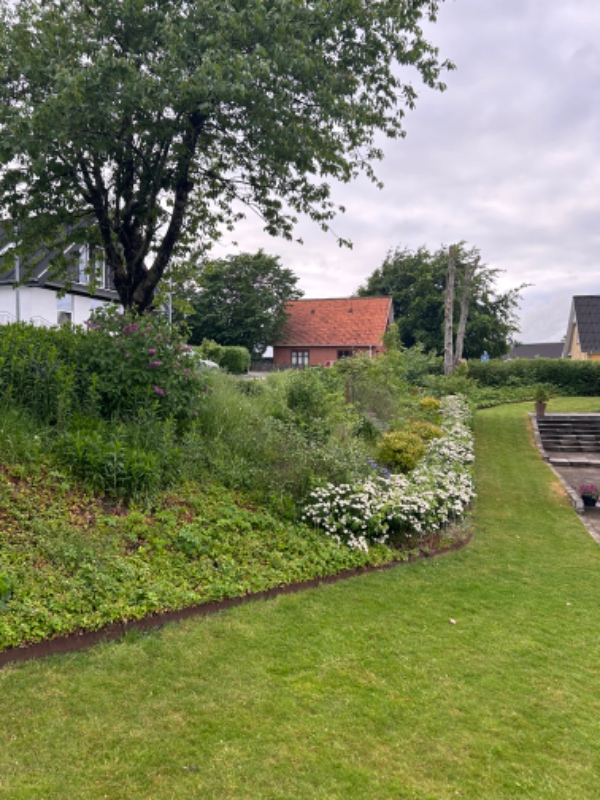 Fjerne ukrudt i bede