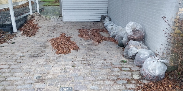 Hjælpe med at bortskaffe haveaffald