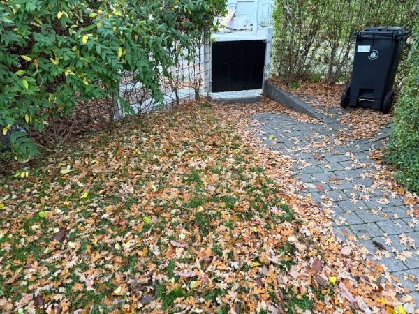 Rydde og bortskaffe blade samt ordne ukrudt på fortovsstykke