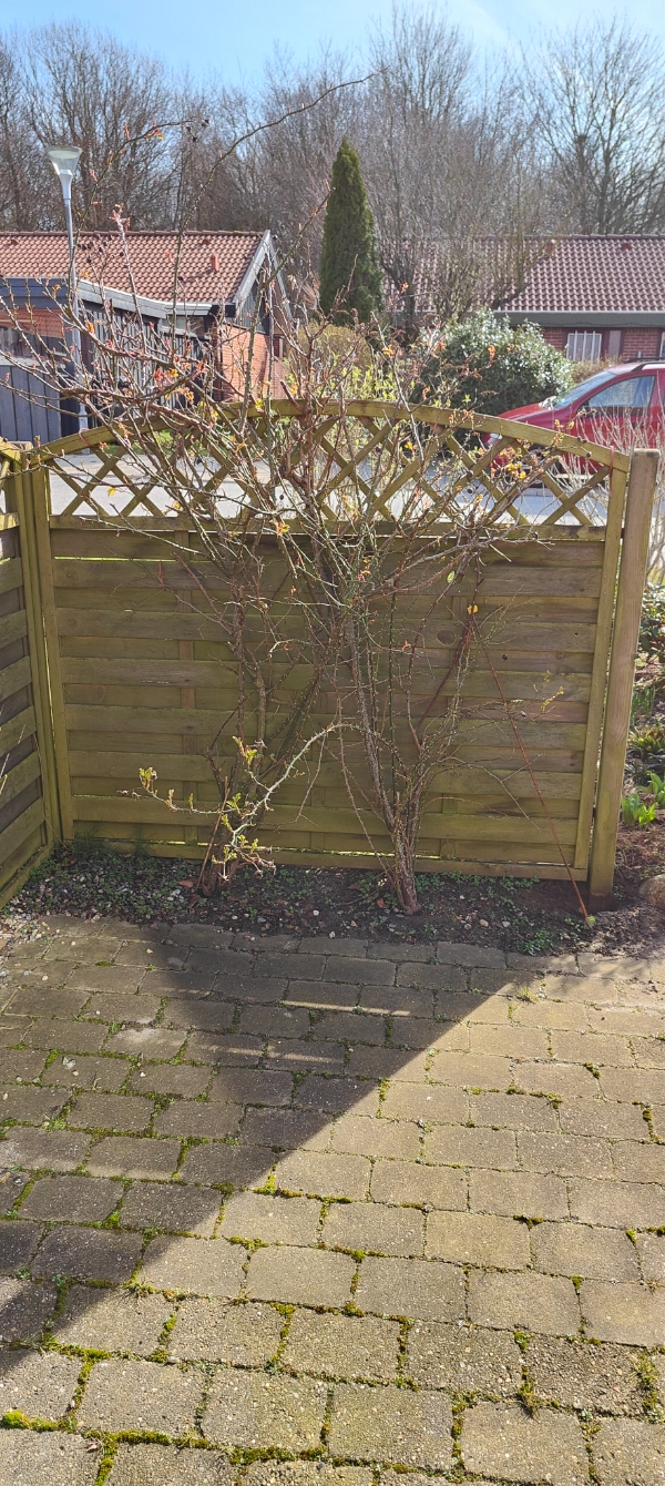 Opsætning af komposithegn