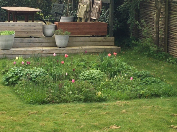 Lugning og beskæring af have