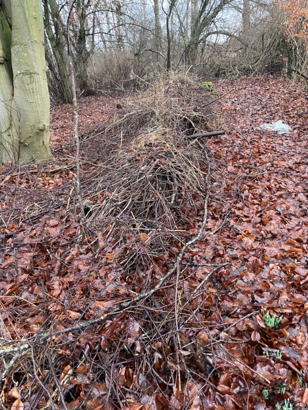 Fjernelse og bortkørsel af haveaffald