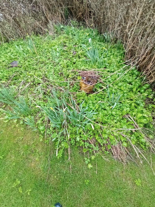 Grave bed og kantklipning