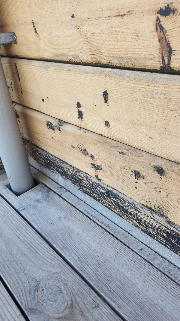 Udskiftning af rådne bjælker