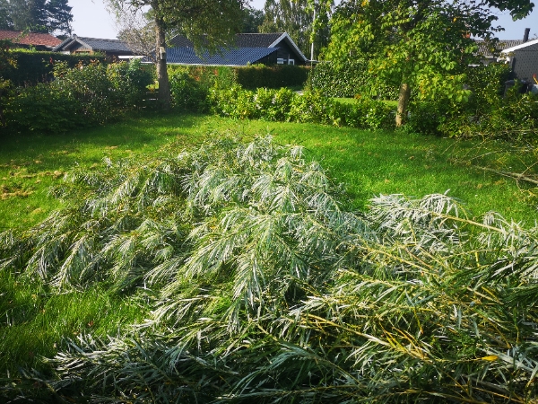 Afhentning af haveaffald